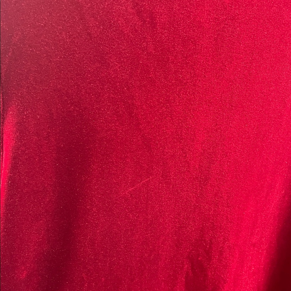 Torn by Ronny Kobo Crimson Velvet Blouse - Picture 10 of 13